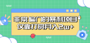 非常偏门的暴利项目，仅靠打赏月入2w+-九源吧网赚学院