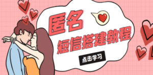 冷门月入过万的匿名短信项目搭建教程【网站源码+网站搭建视频教程】-九源吧网赚