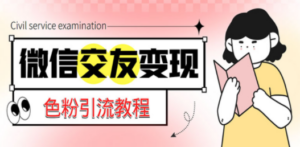 微信交友变现项目，吸引全网LSP男粉精准变现，小白也能轻松上手，日入500+-九源吧网赚