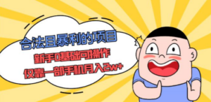 合法且暴利的项目，新手0基础可操作，仅靠一部手机月入2w+-九源吧网赚