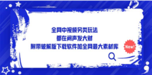 全网中视频另类玩法，都在闷声发大财，附带破解版下载软件加全网最大素材库-九源吧网赚学院