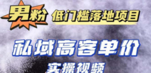 最新超耐造男粉项目实操教程，抖音快手引流到私域自动成交 单人单号日1000+-九源吧网赚