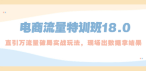 电商流量特训班18.0，直引万流量破局实操玩法，现场出数据拿结果-九源吧网赚学院