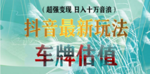 抖音最新无人直播变现直播车牌估值玩法项目 轻松日赚几百+【详细玩法教程】-九源吧网赚学院