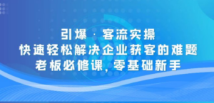 引爆·客流实操：快速轻松解决企业获客的难题，老板必修课，零基础新手-九源吧网赚