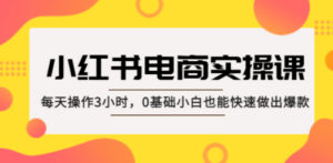 小红书·电商实操课：每天操作3小时，0基础小白也能快速做出爆款-九源吧网赚