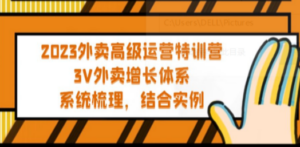 2023外卖高级运营特训营：3V外卖-增长体系，系统-梳理，结合-实例-九源吧网赚
