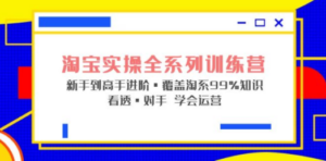 淘宝实操全系列训练营 新手到高手进阶·覆盖·99%知识 看透·对手 学会运营-九源吧网赚学院