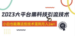 2023大平台黑科技引流技术 小白也能靠这些技术混到月入1w+29节课-九源吧网赚