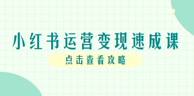 小红书运营变现速成课，账号搭建到暴力起号，个人IP全流程指南-九源吧网赚