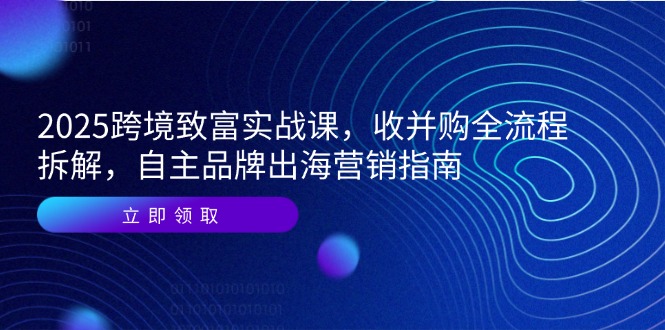 2025跨境致富实战课，收并购全流程拆解，自主品牌出海营销指南-九源吧网赚