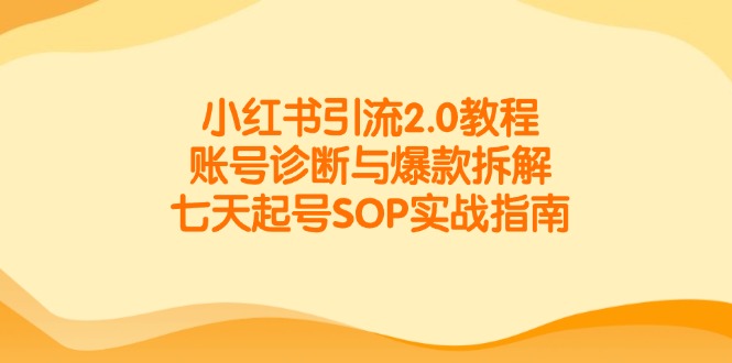小红书引流2.0教程，账号诊断与爆款拆解，七天起号SOP实战指南-九源吧网赚