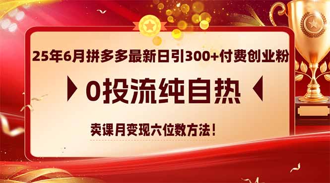 25年6月拼多多最新日引300+付费创业粉，0投流纯自热 卖课月变现六位数方法-九源吧网赚