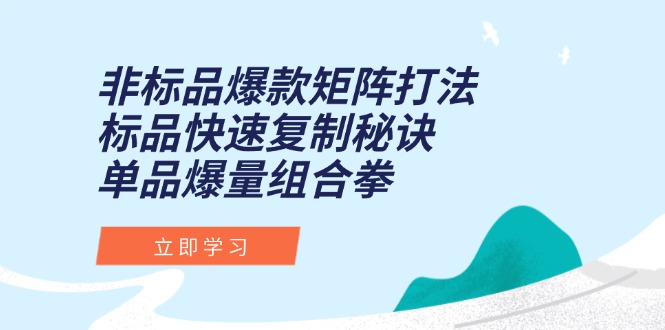 非标品爆款矩阵打法，标品快速复制秘诀，单品爆量组合拳-九源吧网赚