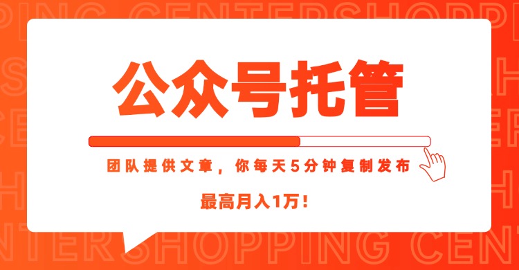 【公众号托管 】我提供文章，你每天５分钟复制发布，最高月入1W-九源吧资源站