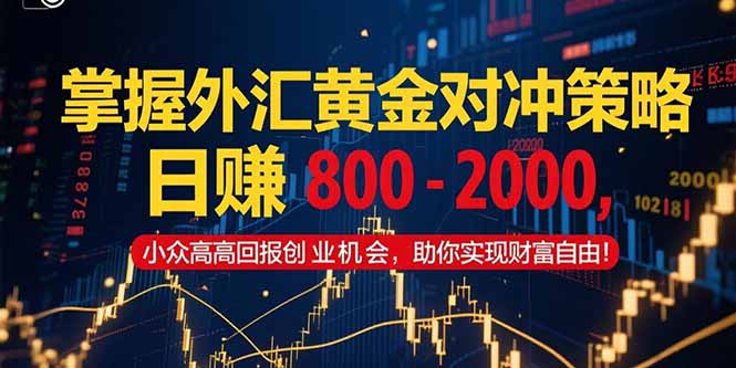 掌握外汇黄金对冲策略，日赚 800 – 2000，小众高回报创业机会，助你实…-九源吧网赚学院