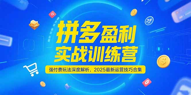 拼多多盈利实战训练营，强付费玩法深度解析，2025运营技巧合集-更新6月-九源吧资源站