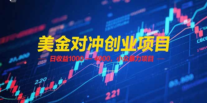 美金对冲创业项目，日收益 1000 – 4000，小众暴力项目-九源吧资源站