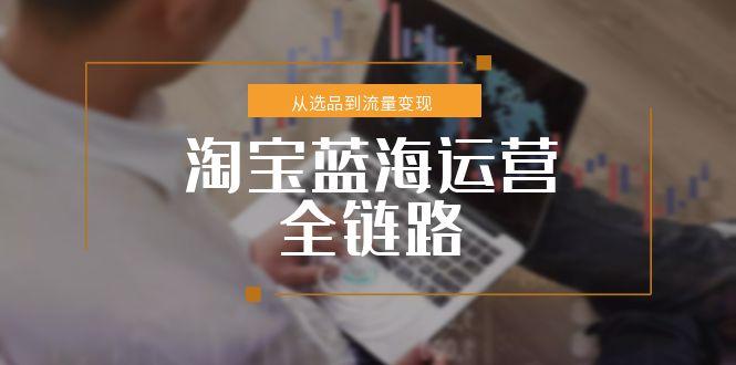 淘宝蓝海运营全链路，从选品到流量变现，小类目突围完整方案-九源吧网赚学院