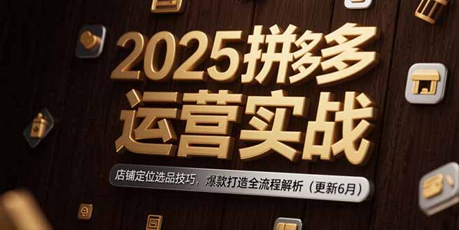2025拼多多运营实战：店铺定位选品技巧，爆款打造全流程解析（更新6月）-九源吧资源站