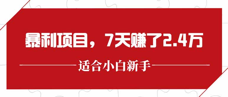 最新暴利项目，每单收益轻松在300以上，7天赚了2.4万-九源吧资源站
