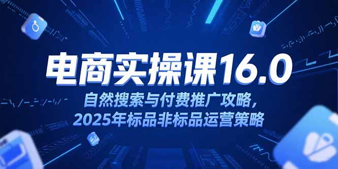 淘宝电商运营课16.0，自然搜索与付费推广攻略，2025年标品非标品运营策略-九源吧资源站