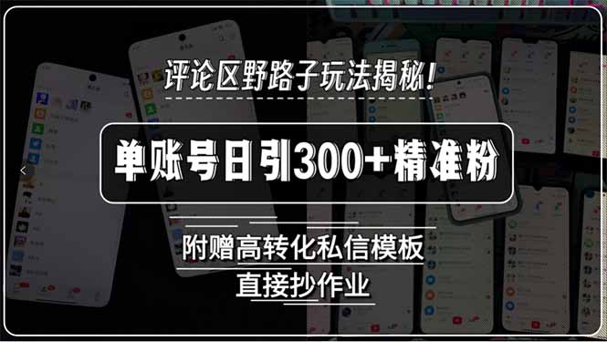 评论区野路子玩法揭秘！单账号日引300+精准粉，附赠高转化私信模板，直…-九源吧网赚学院