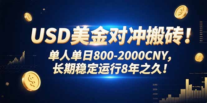 USD美金对冲搬砖!单人单日800-2000CNY，长期稳定运行8年之久!-九源吧网赚学院