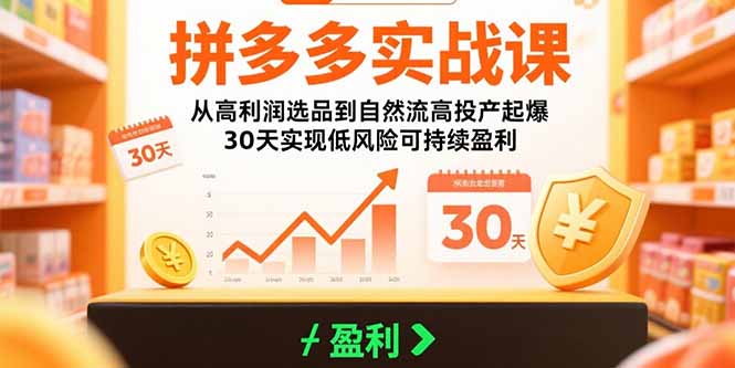 拼多多实战课：从高利润选品到自然流高投产起爆 30天实现低风险可持续盈利-九源吧网赚学院