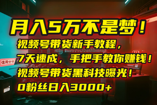 月入5万不是梦！视频号带货新手教程，7天速成，手把手教你赚钱！视频号…-九源吧网赚学院