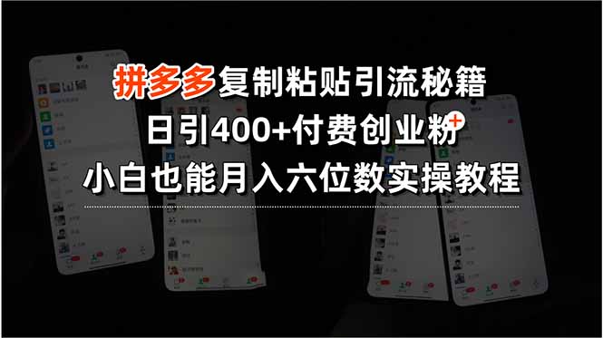 拼多多复制粘贴引流秘籍，日引400+付费创业粉，小白也能月入六位数实操…-九源吧网赚学院