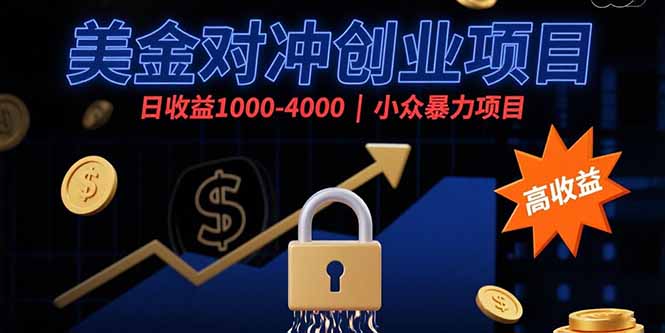 美金对冲创业项目，日收益1000-4000，小众暴力项目-九源吧网赚学院