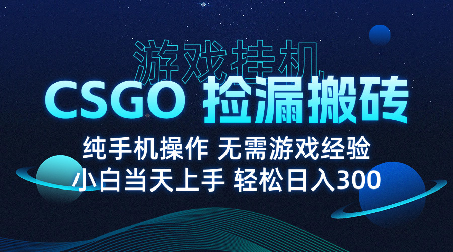8月最新游戏搬砖，CSGO纯挂机，不需要玩游戏，实现真挂机，月入1W+-九源吧