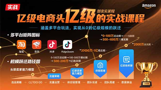 亿级电商头部卖家的实战课程：涵盖多平台玩法，实现从0到亿级规模的跃迁-九源吧