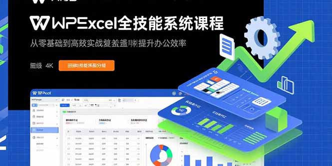 WPS Excel全技能系统课程：从零基础到高阶实战全覆盖，全面提升办公效率-九源吧