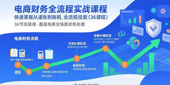 电商财务全流程实战课程：快速掌握从建账到报税的全流程技能（36节课）-九源吧