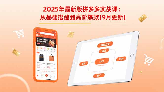 2025年最新版拼多多实战课：从基础搭建到高阶爆款（9月更新）-九源吧