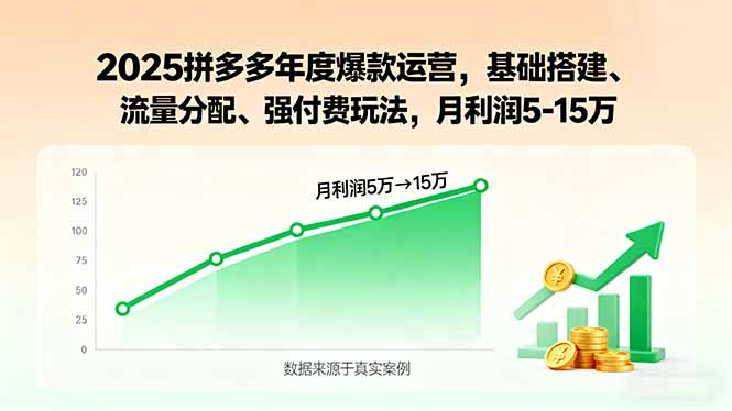 2025拼多多年度爆款运营，基础搭建、流量分配、强付费玩法，月利润5-15万-九源吧