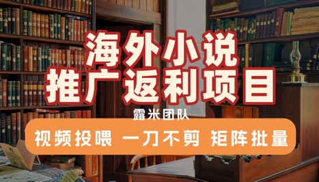 海外小说推广返利项目，视频投喂， 一刀不剪，矩阵批量-九源吧