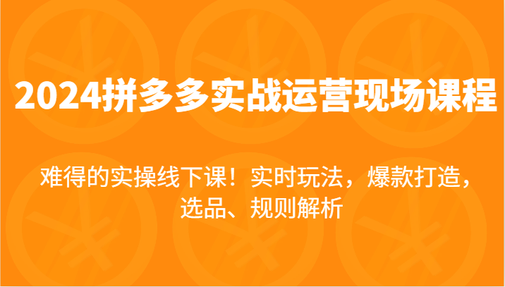 2024拼多多实战运营现场课，实时玩法，爆款打造，选品、规则解析，难得的实操线下课！-九源吧网赚学院
