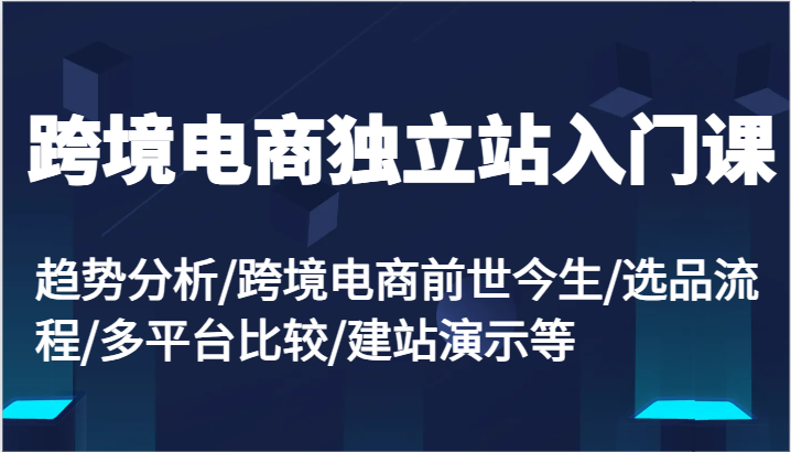跨境电商独立站入门课：趋势分析/跨境电商前世今生/选品流程/多平台比较/建站演示等-九源吧网赚学院