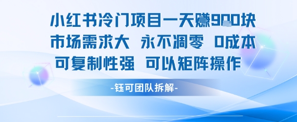 小红书冷门项目一天收益9张，市场需求大，0成本，可复制性强可以矩阵操作-九源吧网赚学院