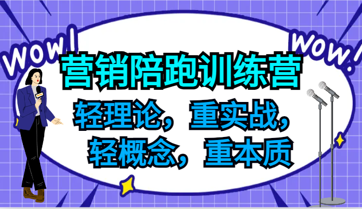 营销陪跑训练营，轻理论，重实战，轻概念，重本质，适合中小企业和初创企业的老板-九源吧网赚学院